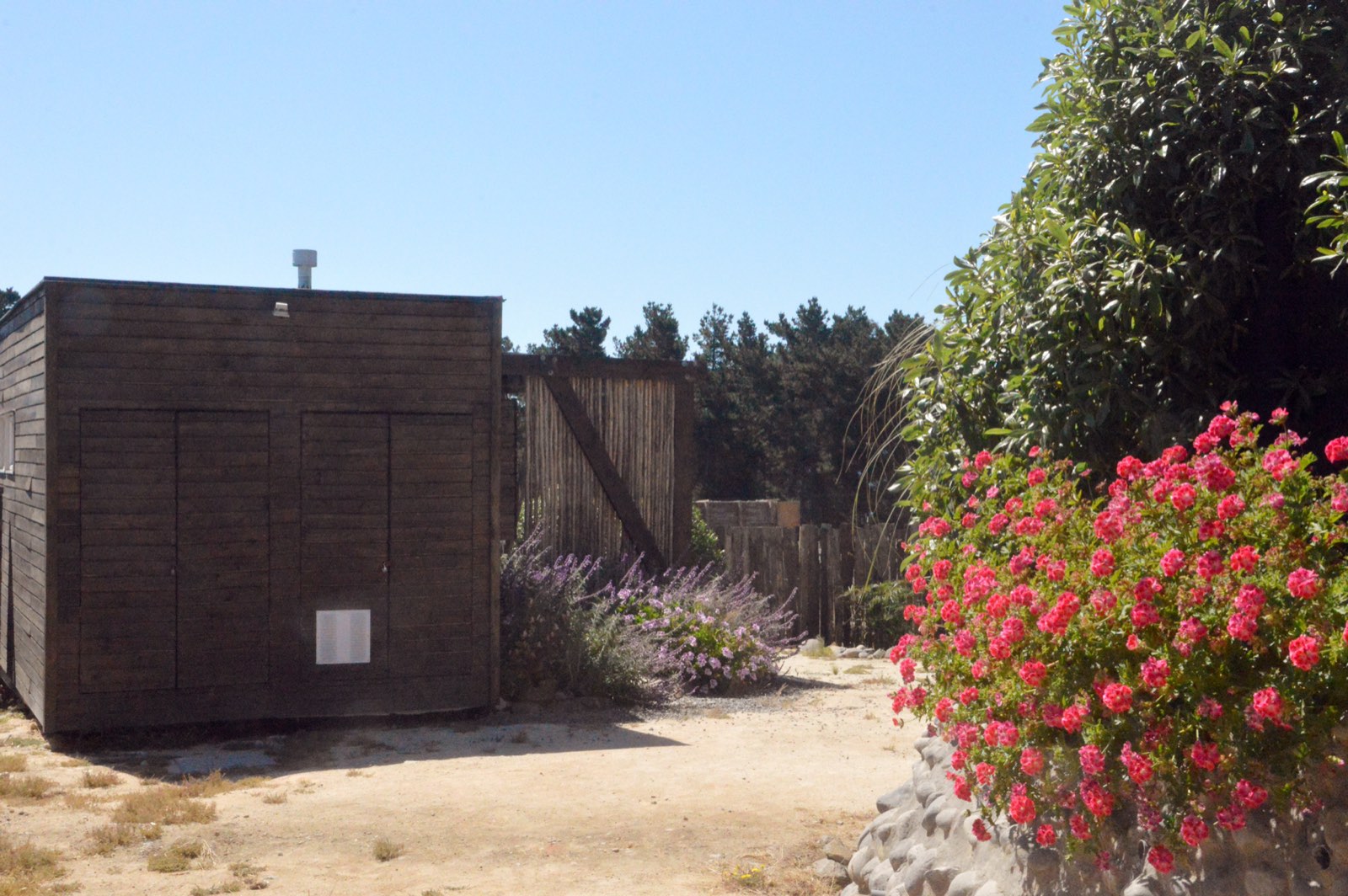 Acceso a la playa, Pichilemu