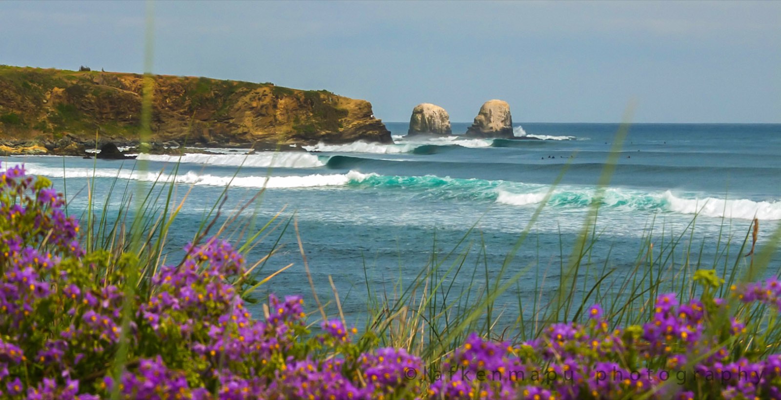 Punta de Lobos, Pichilemu